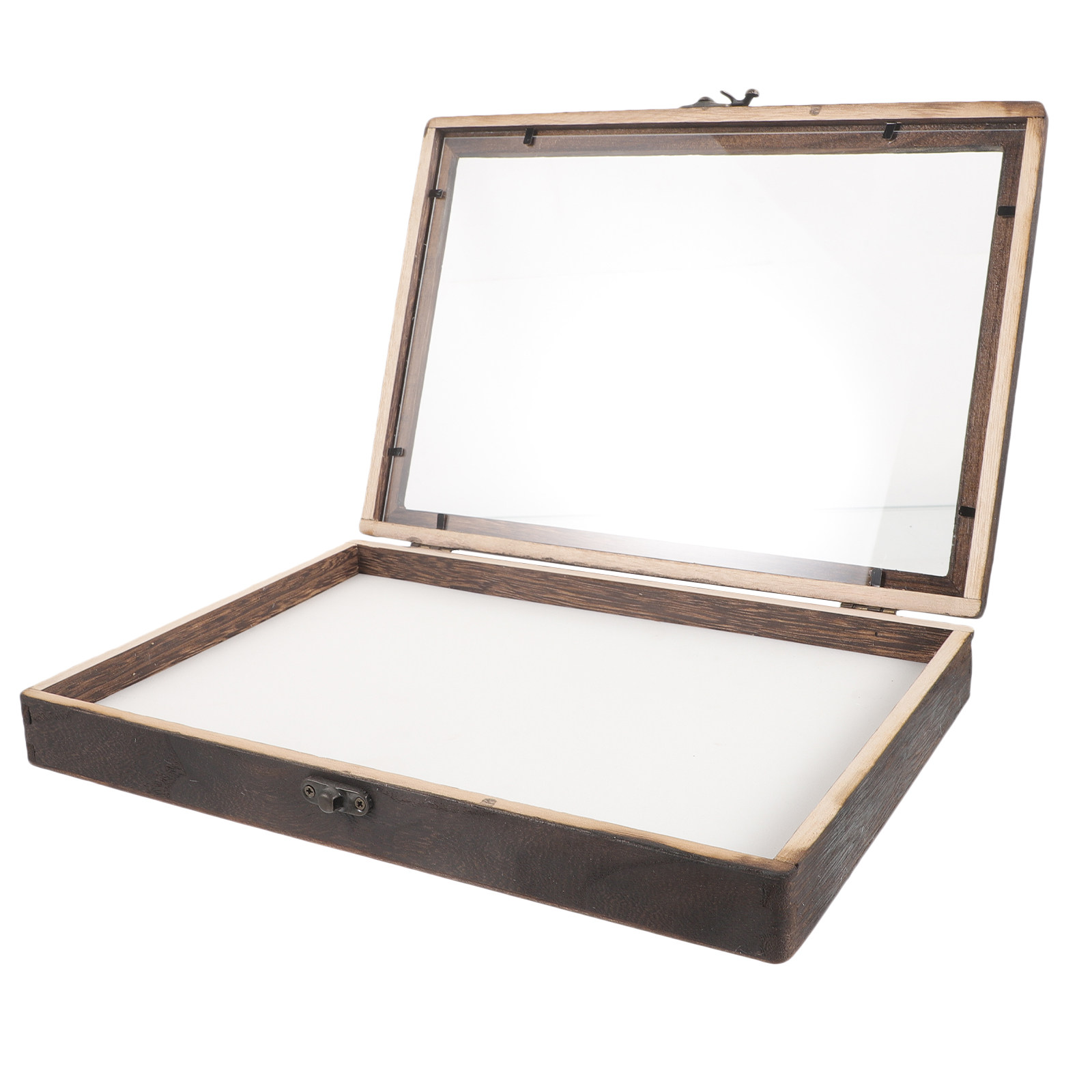 Frame Display Wood - 1Set Insect Specimen Display Box Wooden