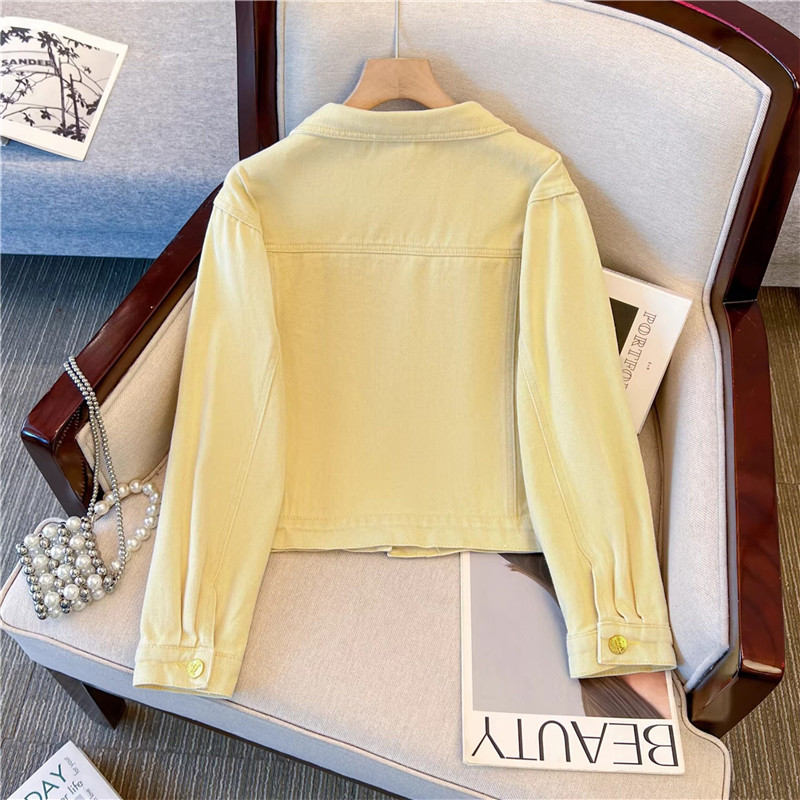 Korean Vintage Flower Embroide - Embroidery Jacket Jeans ulasan dan harga