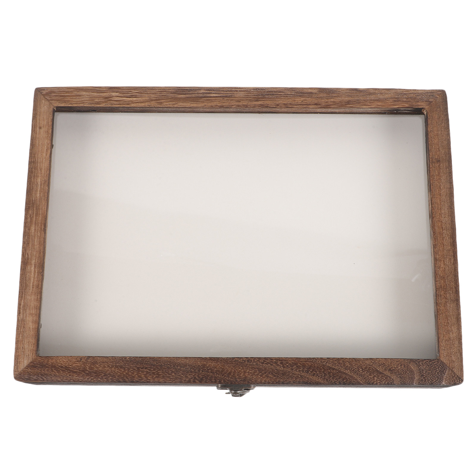 1Set Insect Specimen Display B - Frame Display Wood ulasan dan harga